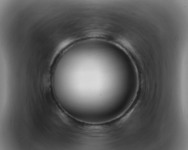 X0000086801164200704201857