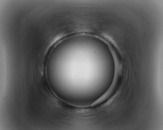 X0000086801165200704201857