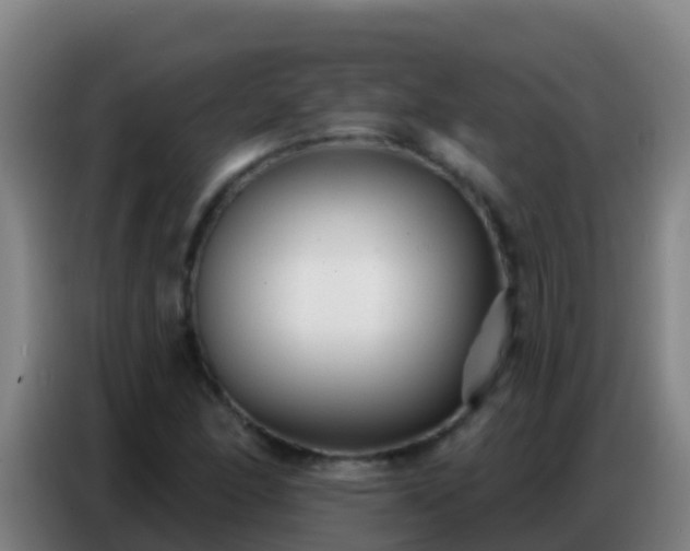 X0000086801166200704201857