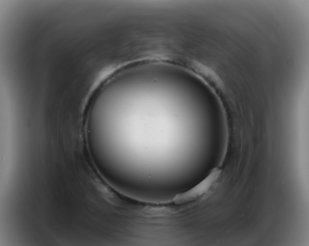 X0000086801168200704201857