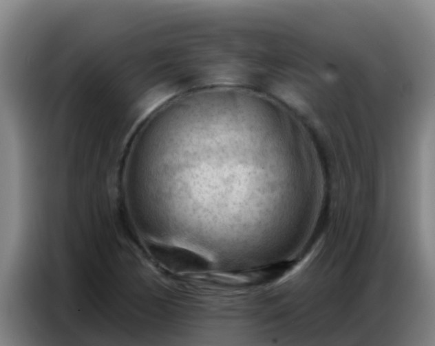 X0000086801170200704201857