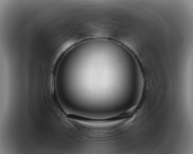 X0000086801171200704201857