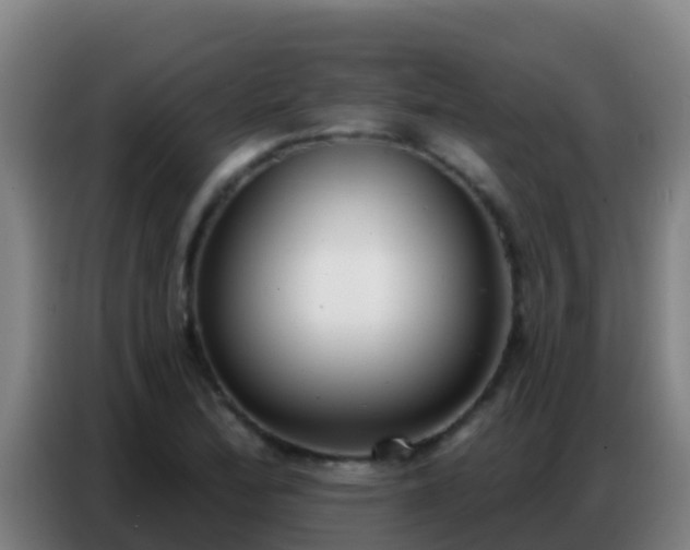 X0000086801172200704201857