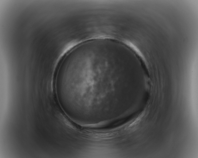 X0000086801173200704201857