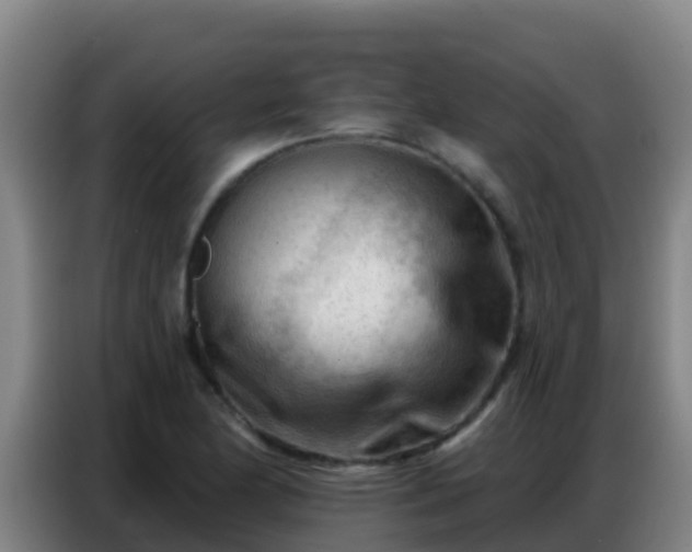 X0000086801174200704201857