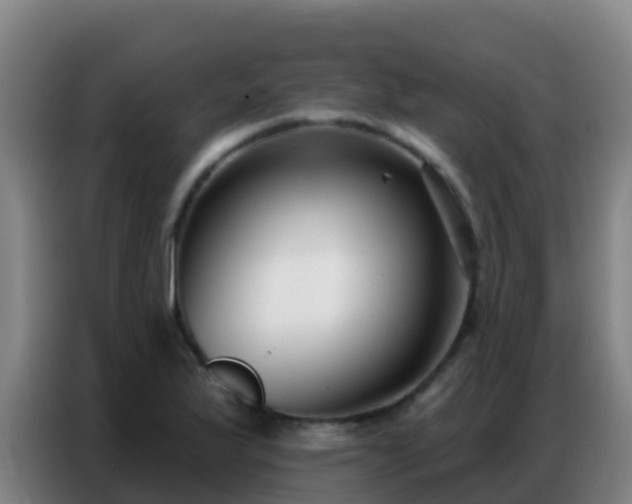 X0000086801175200704201857