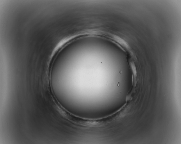 X0000086801176200704201857