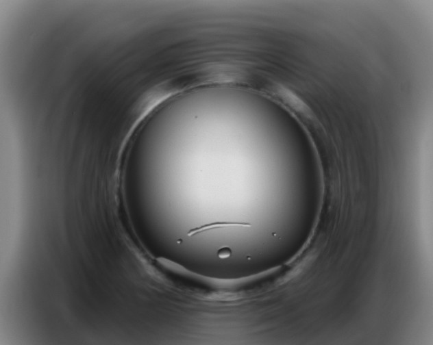 X0000086801178200704201857
