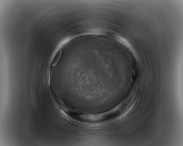 X0000086801180200704201857