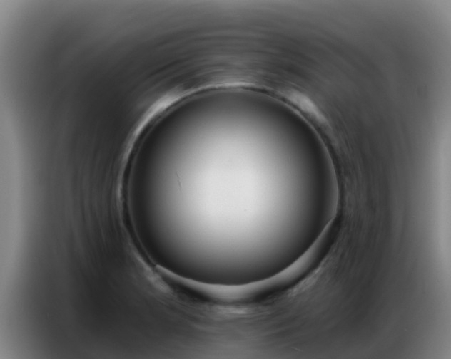X0000086801181200704201857