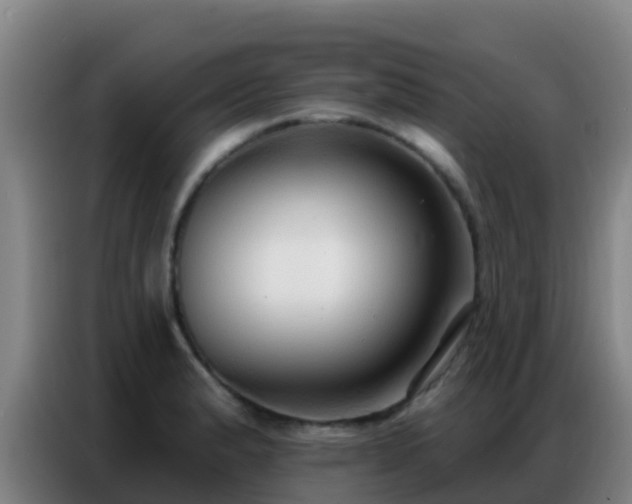 X0000086801183200704201857