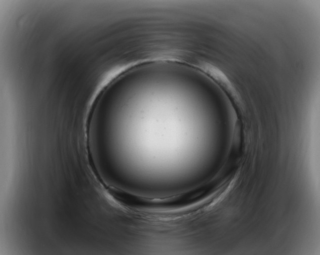 X0000086801184200704201857