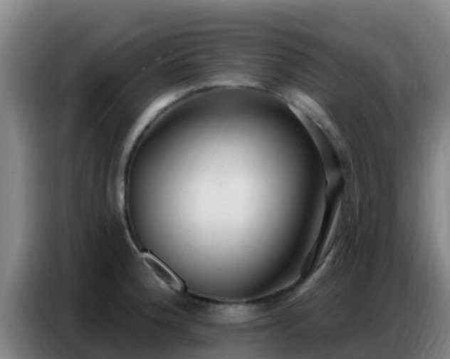 X0000086801188200704201857