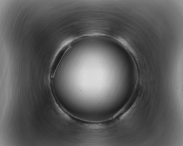 X0000086801189200704201857