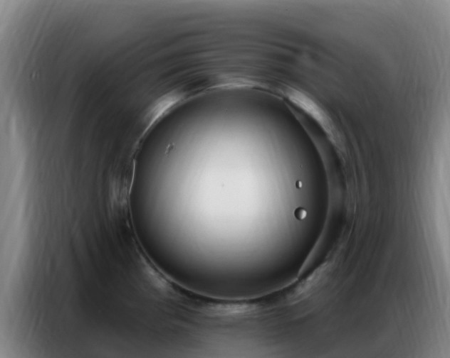 X0000086801193200704201857