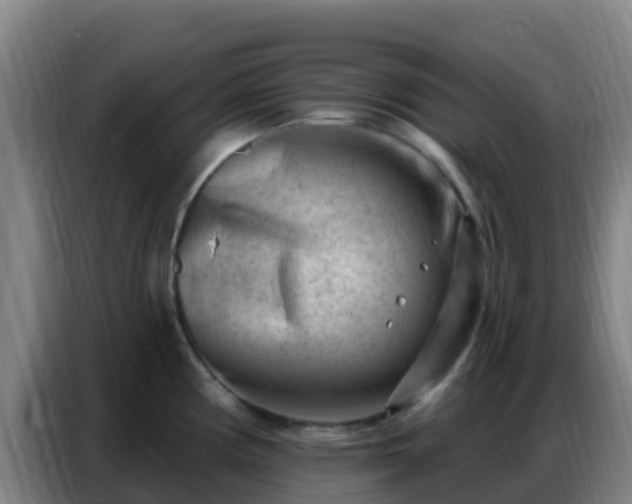 X0000086801194200704201857