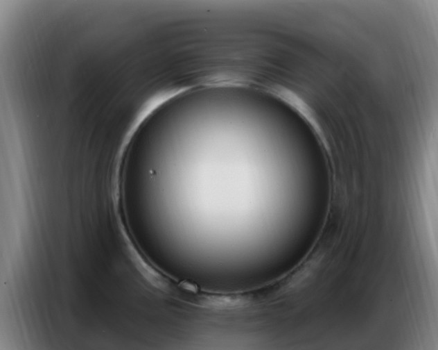 X0000086801195200704201857