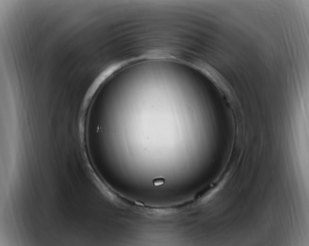 X0000086801196200704201857