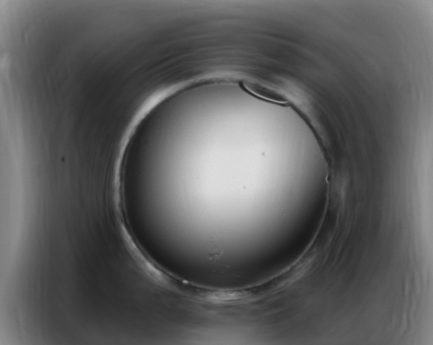 X0000086801199200704201857