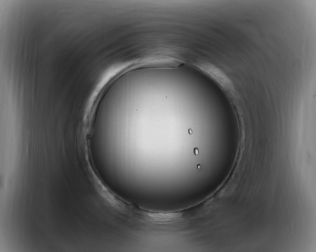 X0000086801200200704201857