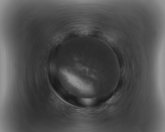 X0000086801202200704201856