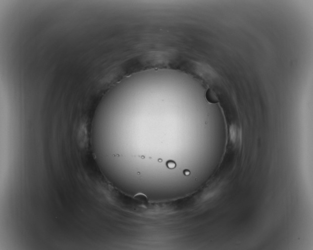 X0000086801203200704201856