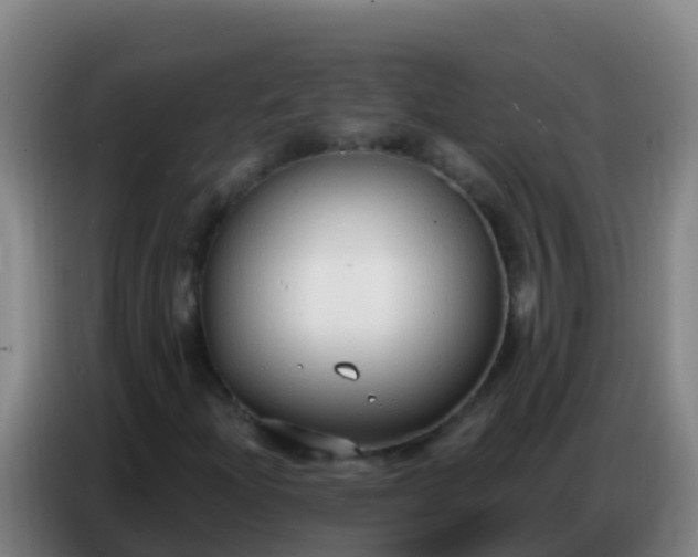 X0000086801204200704201856