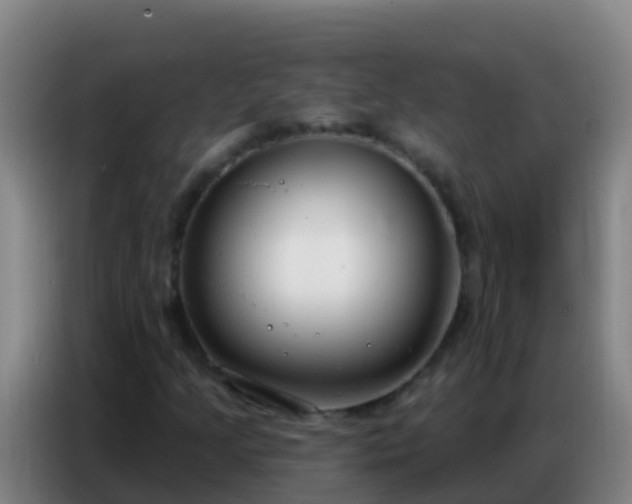 X0000086801205200704201856