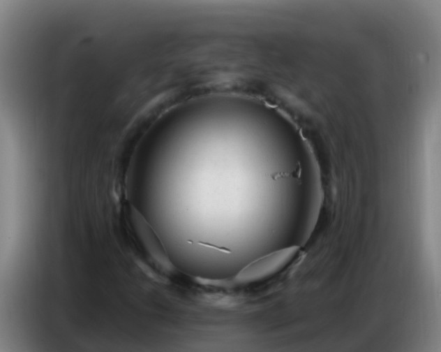 X0000086801206200704201856