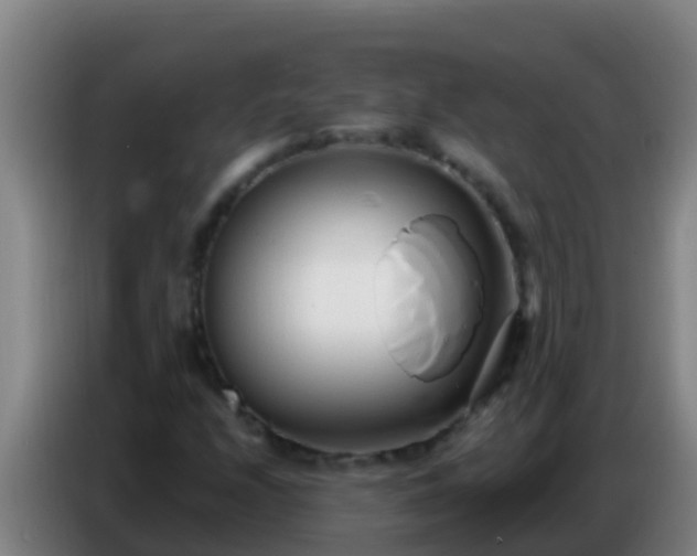 X0000086801208200704201856