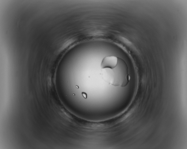 X0000086801209200704201856