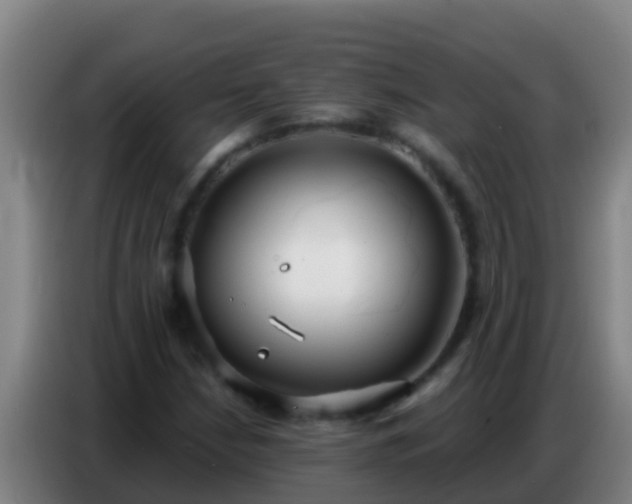 X0000086801210200704201856