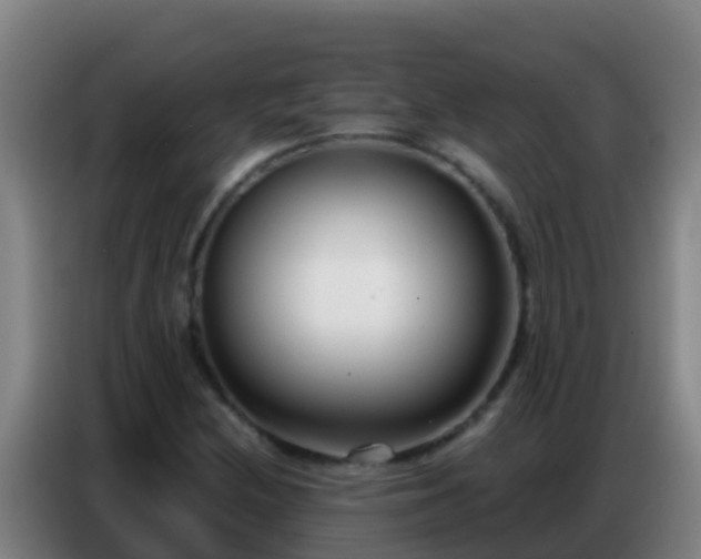 X0000086801212200704201857