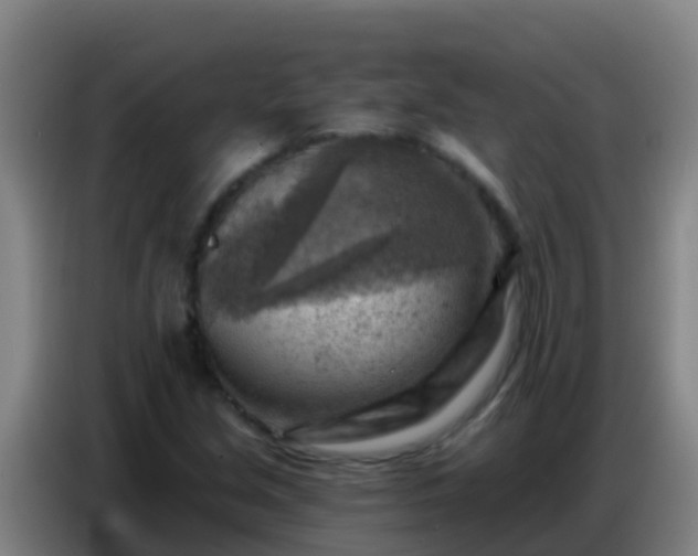 X0000086801213200704201857