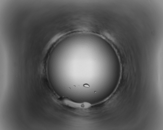 X0000086801215200704201857