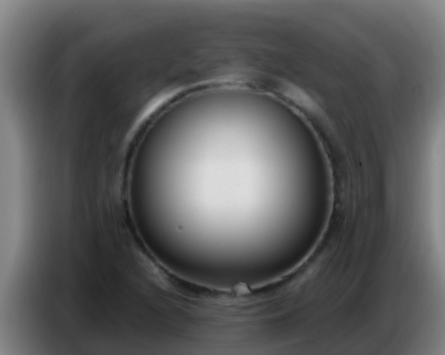 X0000086801216200704201857