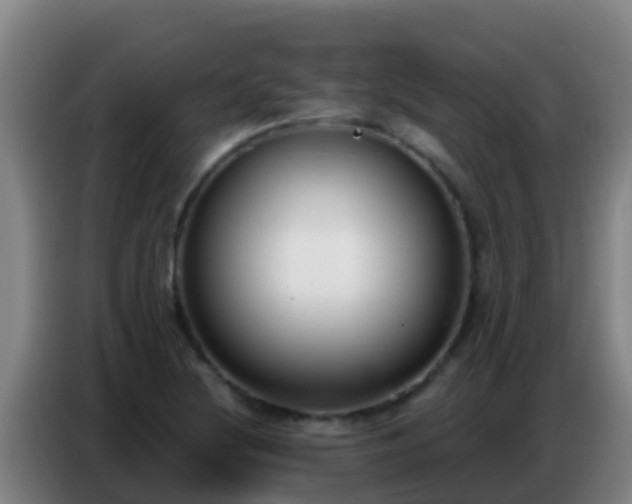 X0000086801220200704201857