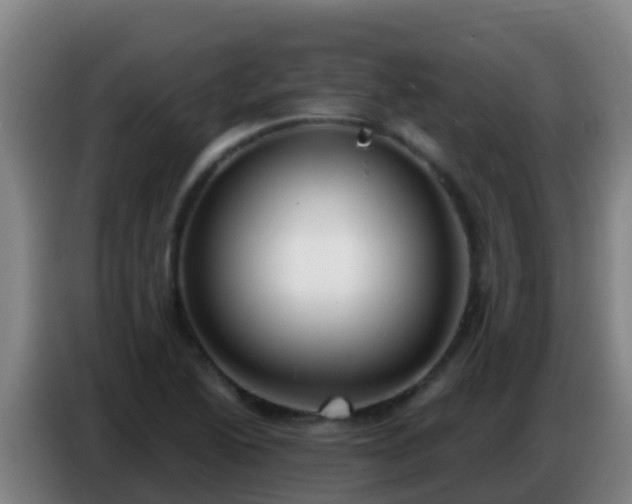 X0000086801222200704201857