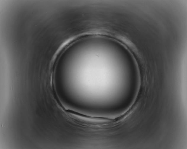 X0000086801224200704201857