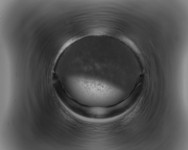 X0000086801226200704201857