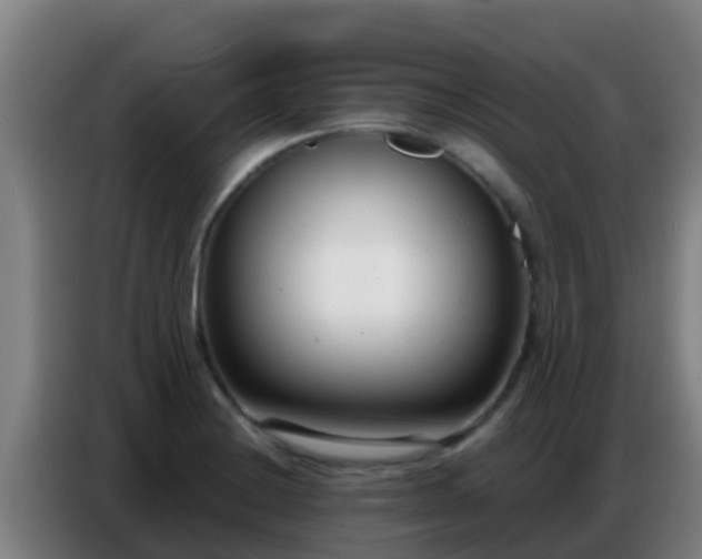 X0000086801228200704201857