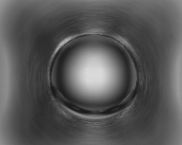 X0000086801230200704201857