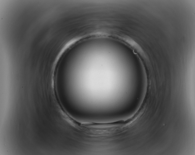 X0000086801232200704201857