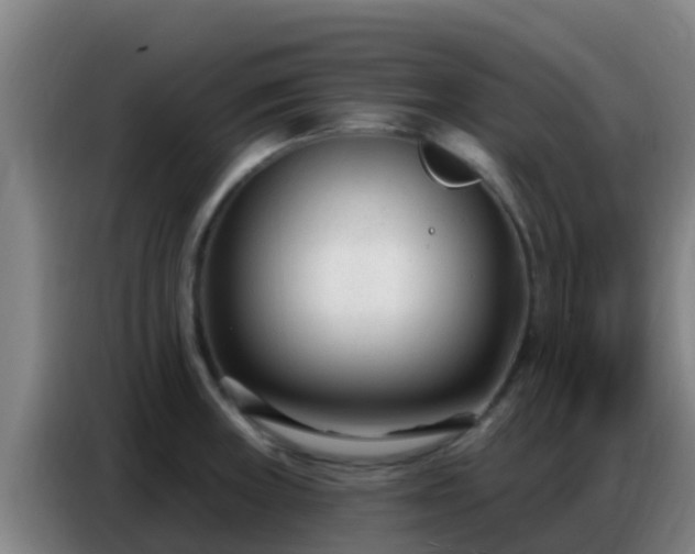X0000086801235200704201857