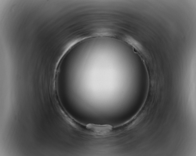 X0000086801236200704201857