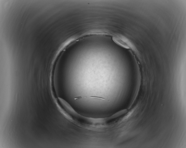 X0000086801237200704201857