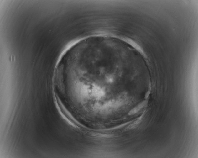 X0000086801239200704201857