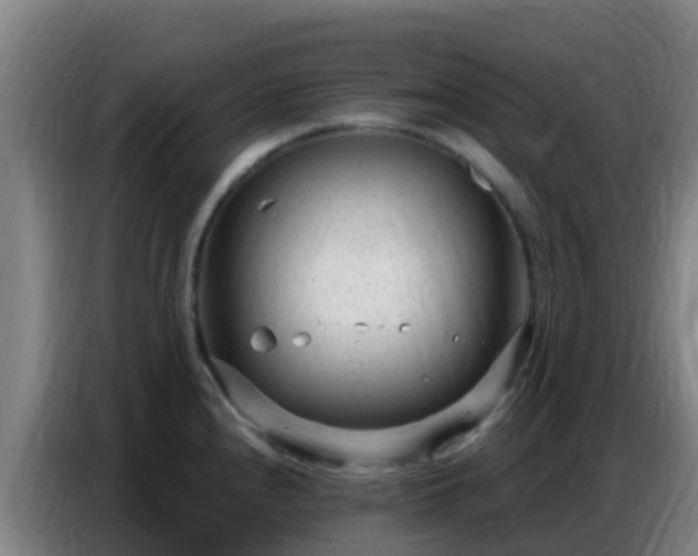 X0000086801240200704201857