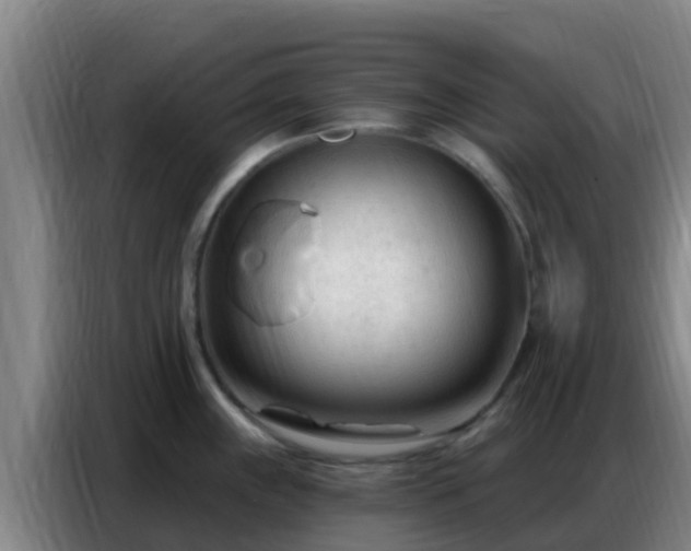 X0000086801243200704201857