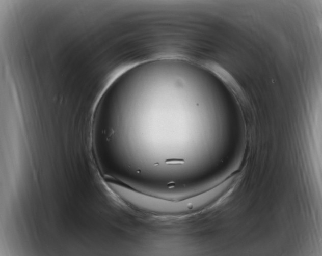 X0000086801244200704201857